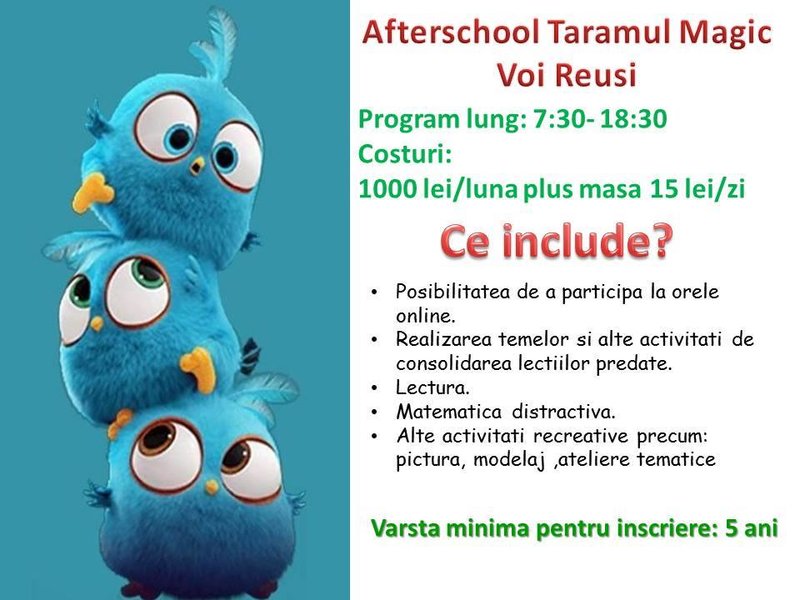 Taramul Magic Voi Reusi - After School